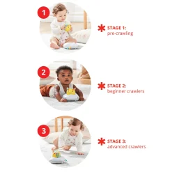 Explore and More Follow-Bee Crawl Toy