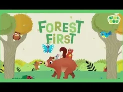 Forest First