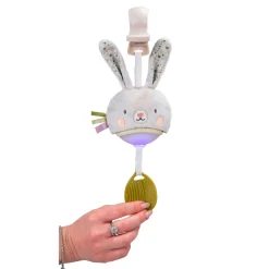 Garden Stroller Bunny Musical Toy