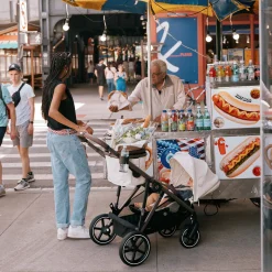 Gazelle S 2 Stroller - Taupe Frame with Almond Beige Seat