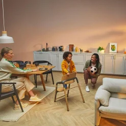 Giraffe Complete Wwood/grey