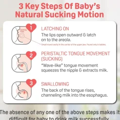 Glass Bottle 5oz With SS Nipple