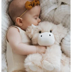 Hilda The Highland Cow