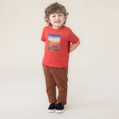 Horse T-shirt 6-24m