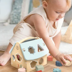 House Shape Sorter