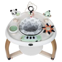 5-in-1 Activity Center - Black & White