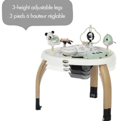 5-in-1 Activity Center - Black & White