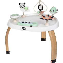 5-in-1 Activity Center - Black & White