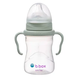 4in1 Cup Pack - Sage