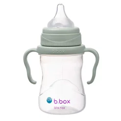 4in1 Cup Pack - Sage