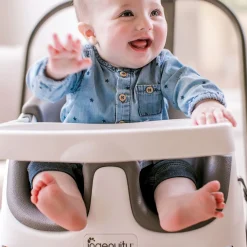 Ingenuity Baby Base 2-in-1™ Seat - Slate