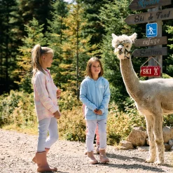 Kangaroo Zip Bear Skate 2-10 y