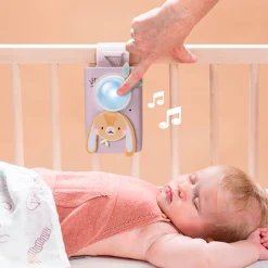 Kit Bunny Soother & Swaddle