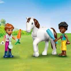 LEGO® Friends Animal Vet Clinic