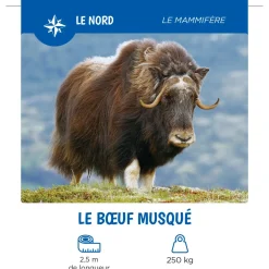 Les Animaux Du Québec