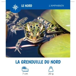 Les Animaux Du Québec