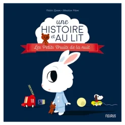 Les Petits Bruits De La Nuits