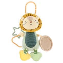 Lion Mirror Activity