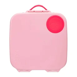 Lunch Box - Flamant Fizz