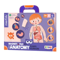 Magnetic Pad Human Anatomy