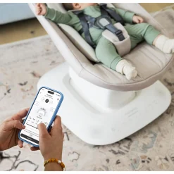 Mamaroo Swing - Charlie