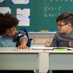 Manimo Weighted Dog 2kg - Grey