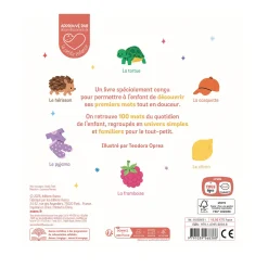 Mes 100 Mots Tout En Couleurs