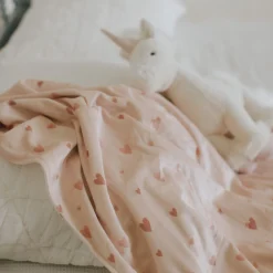 Minky Little Blanket - Celestre Dream