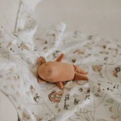 Minky Little Blanket - Gédéon's Farm