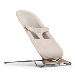 Mira 2 in 1 Bouncer and Seat - Charlie