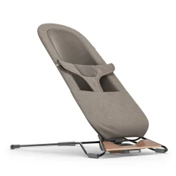 Mira 2 in 1 Bouncer and Seat - Wells