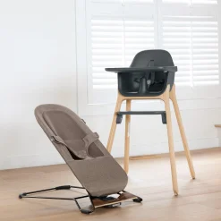 Mira 2 in 1 Bouncer and Seat - Wells