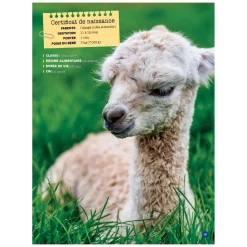 Mon Grand Animalier des Bébés