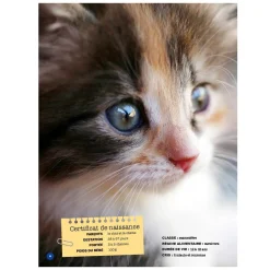 Mon Grand Animalier des Bébés