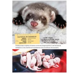 Mon Grand Animalier des Bébés