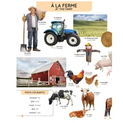 Mon Imagier Des 1000 Mots Anglais