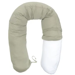 Multifunctional Pregnancy Pill