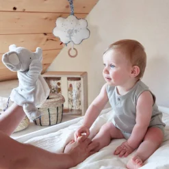 Musical Clooud Elephant