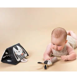 Newborn Black & White Kit 10 Pieces