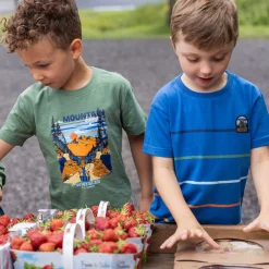 Off Road Mountain T-shirt 2-12