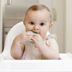 Oral Development Tools - Sage