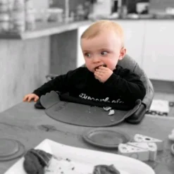 Perch Silicone Placemat - Grey