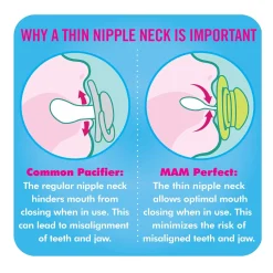 Perfect Pacifiers 6 Months+ (2 pack)