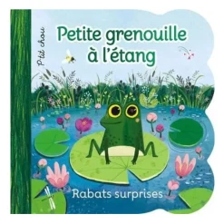 Petite Grenouille à L'Étang