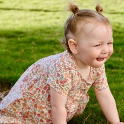 Picnic Flowers Dress 3-24m