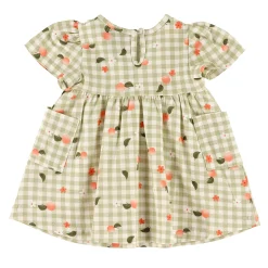 Picnic Peaches Dress 3-24m
