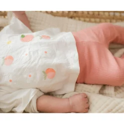 Picnic Rib Legging 3-24m