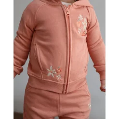 Picnic Zip Hoodie 3-24m