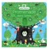 Promenade Dans Les Arbres