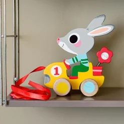 Pull Along Toy - Roulapic